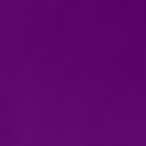 Meet your Posher, Rico